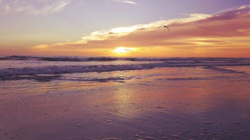 Scenic view of sea at sunset