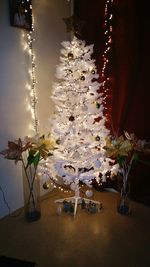 Illuminated christmas tree at home