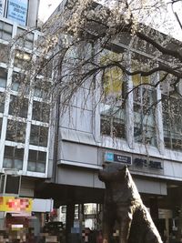 Low angle view of bare tree against building in city