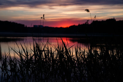 Scenic view of lake at sunset
