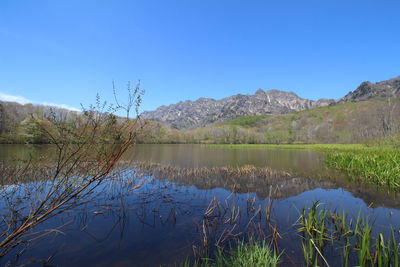 Scenic view of lake against clear sky