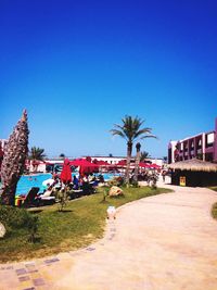 Palm trees and buildings against blue sky