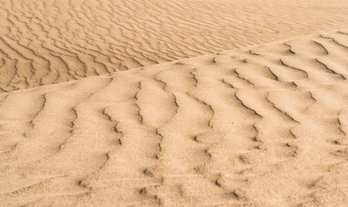 High angle view of sand dune