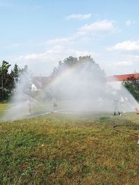 Panoramic shot of grass in water against sky