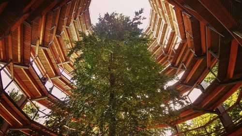 Low angle view of trees and building against sky