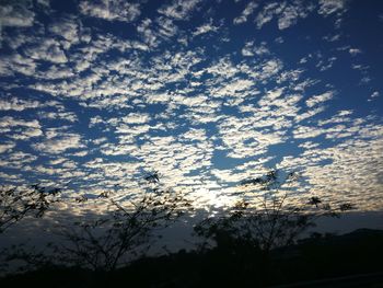 Low angle view of silhouette trees against sky at sunset