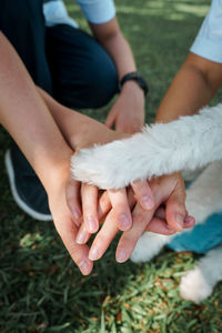 Close-up of woman hand on grass