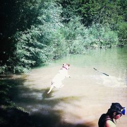 High angle view of man on golf course