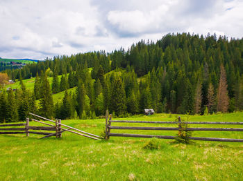 Picturesque spring mountains scene with wooden split rail fence across a green and lush pasture 