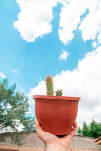 Midsection of person holding ice cream against potted plant