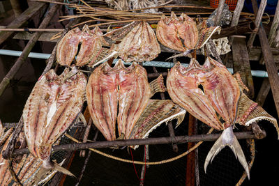 Close-up of fish for sale in market