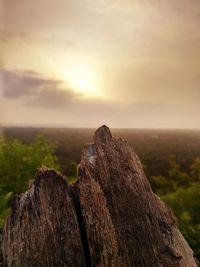 Close-up of rocks against sky during sunset