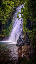 Rear view of man against waterfall in forest