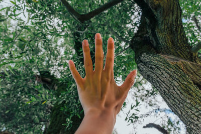 Cropped image of person touching tree trunk