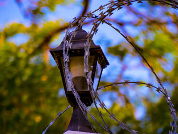 Low angle view of metallic structure on tree