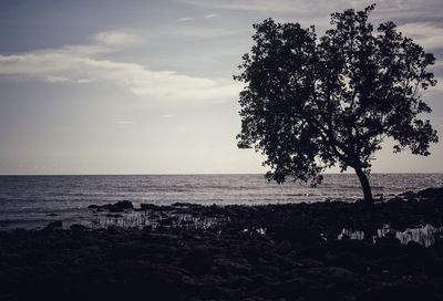 Silhouette tree by sea against sky