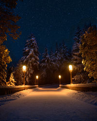 Snowy bridge at night