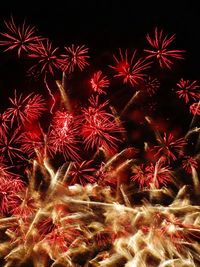 Low angle view of firework display at night