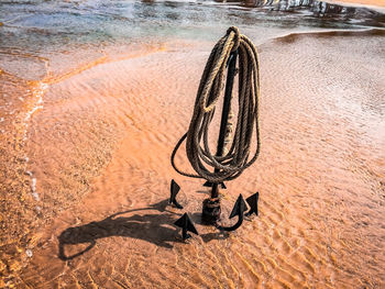 High angle view of plant on sand