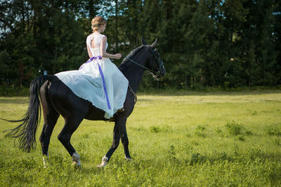 Man riding horse on field