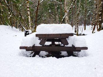 Snow covered field by trees in forest