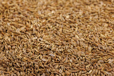 Dry dill seeds on flat surface, close-up background with selective focus