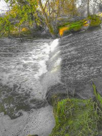 Scenic view of waterfall in forest