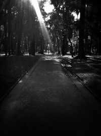 Walkway amidst trees against sky