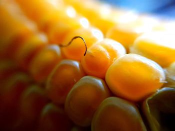 Close-up of orange fruit