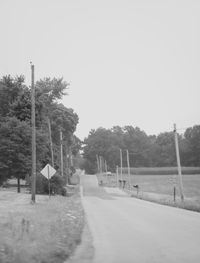 Empty road along trees