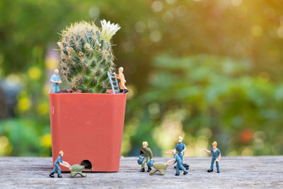 Close-up of potted cactus with male figurines on table