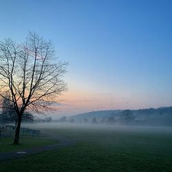 Bare tree on field against sky during sunset