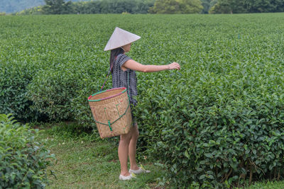 Rear view of girl walking on field