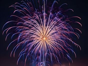 Low angle view of firework display at night