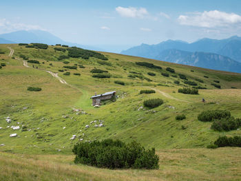Summer meadow close to peak of gazza mountain above andalo town.  vezzano region, trentino, italy