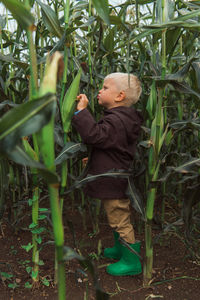 Child in corn field leaves dark colors