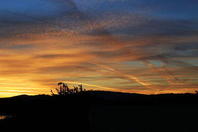 Silhouette trees on field against orange sky