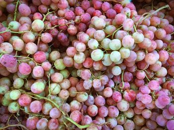 Close-up of fruits for sale in market