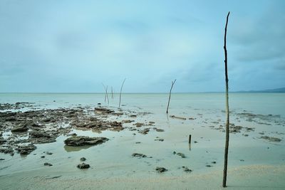 Scenic view of beach against sky