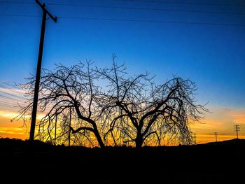 Silhouette of tree against dramatic sky