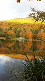 Scenic view of lake with trees in background