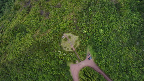 High angle view of dog on field