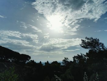 Low angle view of silhouette trees against sky