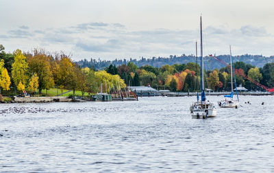 Trees display rich autumn colors along the shore at gene coulon park in renton, washington.