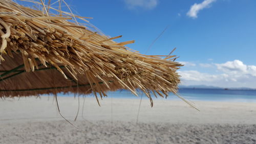 Close-up of straw sunshade at beach