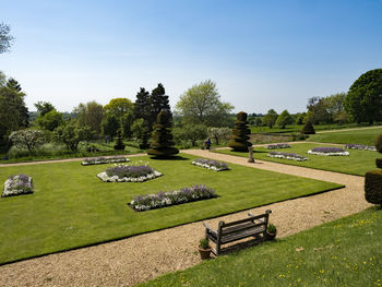 Scenic view of grassy field against clear sky