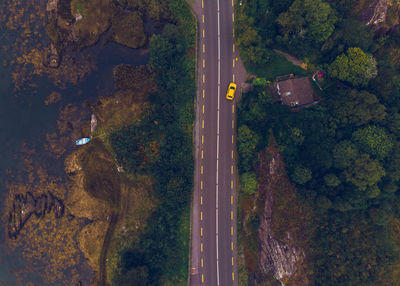 High angle view of road amidst trees