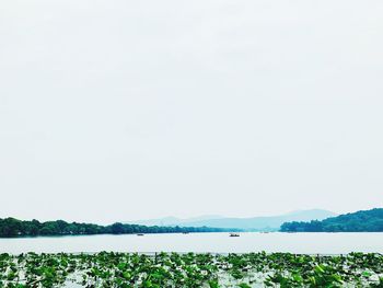 Scenic view of lake against clear sky