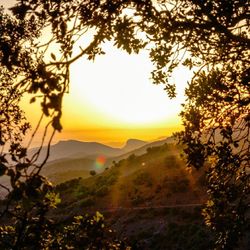 Scenic view of landscape at sunset