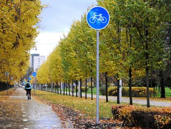 Rear view of person riding bicycle amidst trees on road at park during autumn